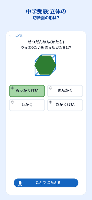 こえでかたち 切断面の形を答える画面